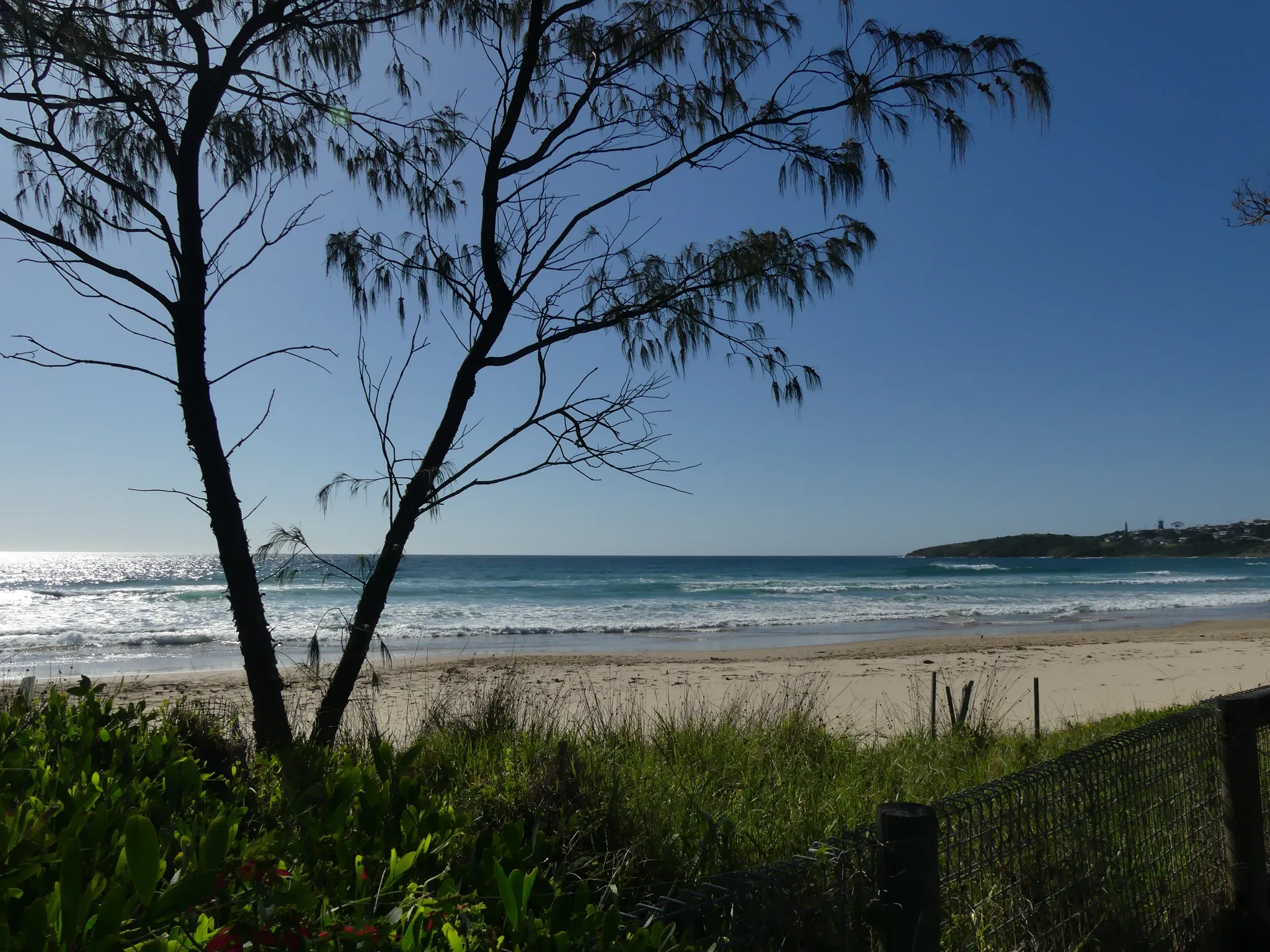 How to Choose a Reliable Local Plumber in Woolgoolga image
